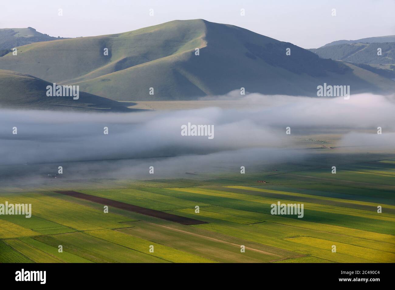 Blick auf den Pian Grande di Castelluccio di Norcia und seine Blüte Stockfoto