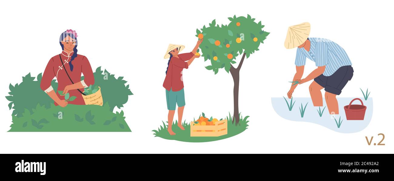 Asiatische Farmer Zeichensatz, Vektor flach isoliert Illustration Stock Vektor