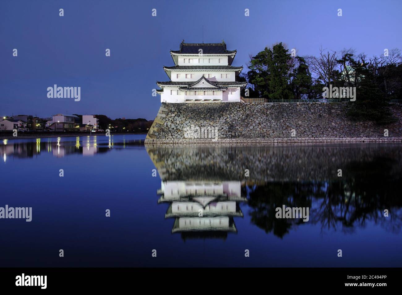 Landschaft mit dem Nordwest-Turm (Inui-Turm) der Burg Nagoya in Japan bei Nacht Herbst. Stockfoto