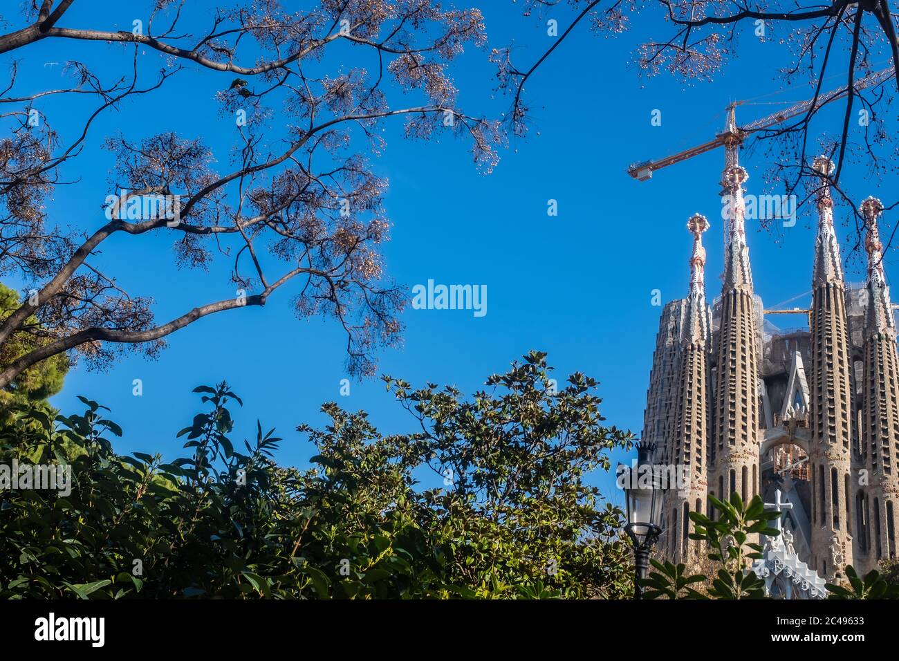 Barcelona (Spanien), La Sagrada Familia: Eine unerwartete Vision der Kathedrale, durch eine natürliche Umgebung beobachtet, weg von den Massen von Touristen. Stockfoto
