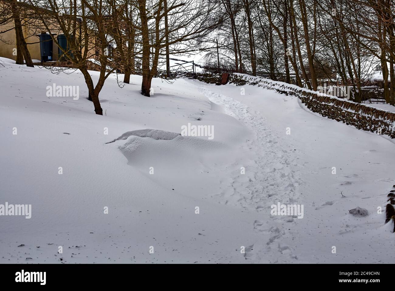 Auffahrt auf Dales Kleinbetrieb blockiert durch Windwehen am Tag nach 2 Tagen Schneefall Stockfoto