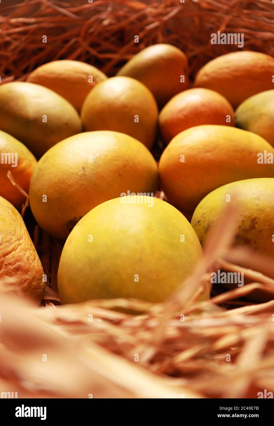 Mangos Lecker Bio Gesunde Früchte Stockfoto