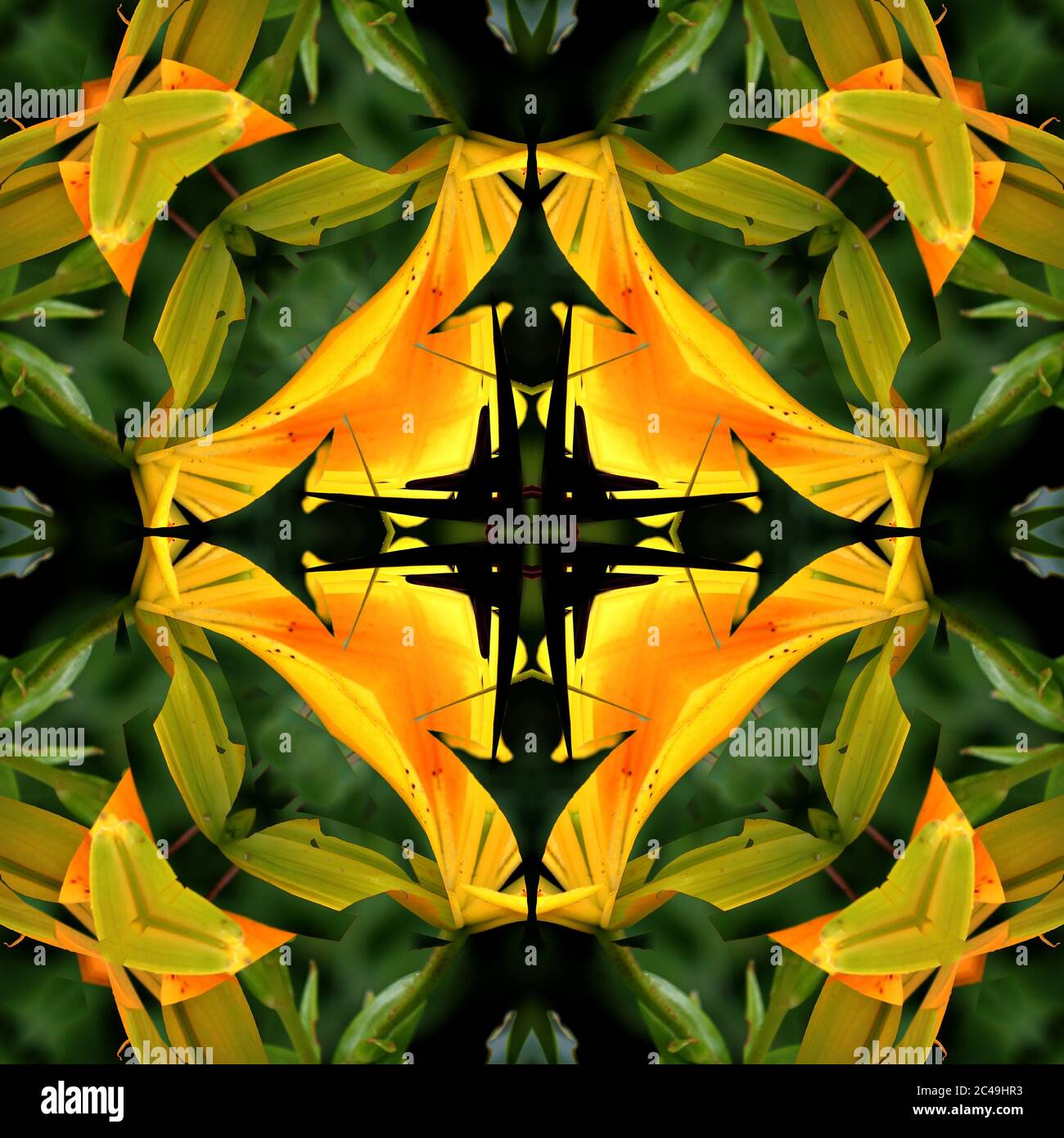 Nahtlose symmetrische Muster abstrakte Bananenblätter Textur Stockfoto