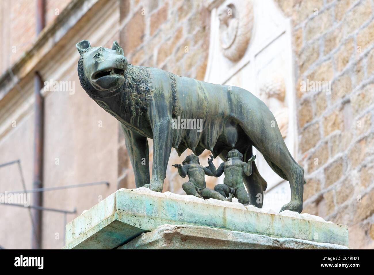 Kapitolinische Wolf, italienisch: Lupa Capitolina - Bronzeskulptur der Wolfskurfen Romulus und Remus, Kapitolinische Hügel, Rom, Italien. Stockfoto
