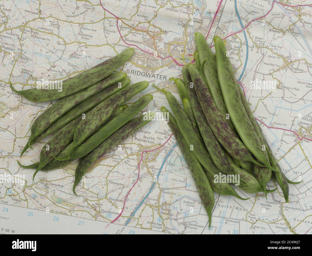 Bridgwater Bohnen auf der Karte der Gegend ist es benannt nach, aus nächster Nähe Stockfoto