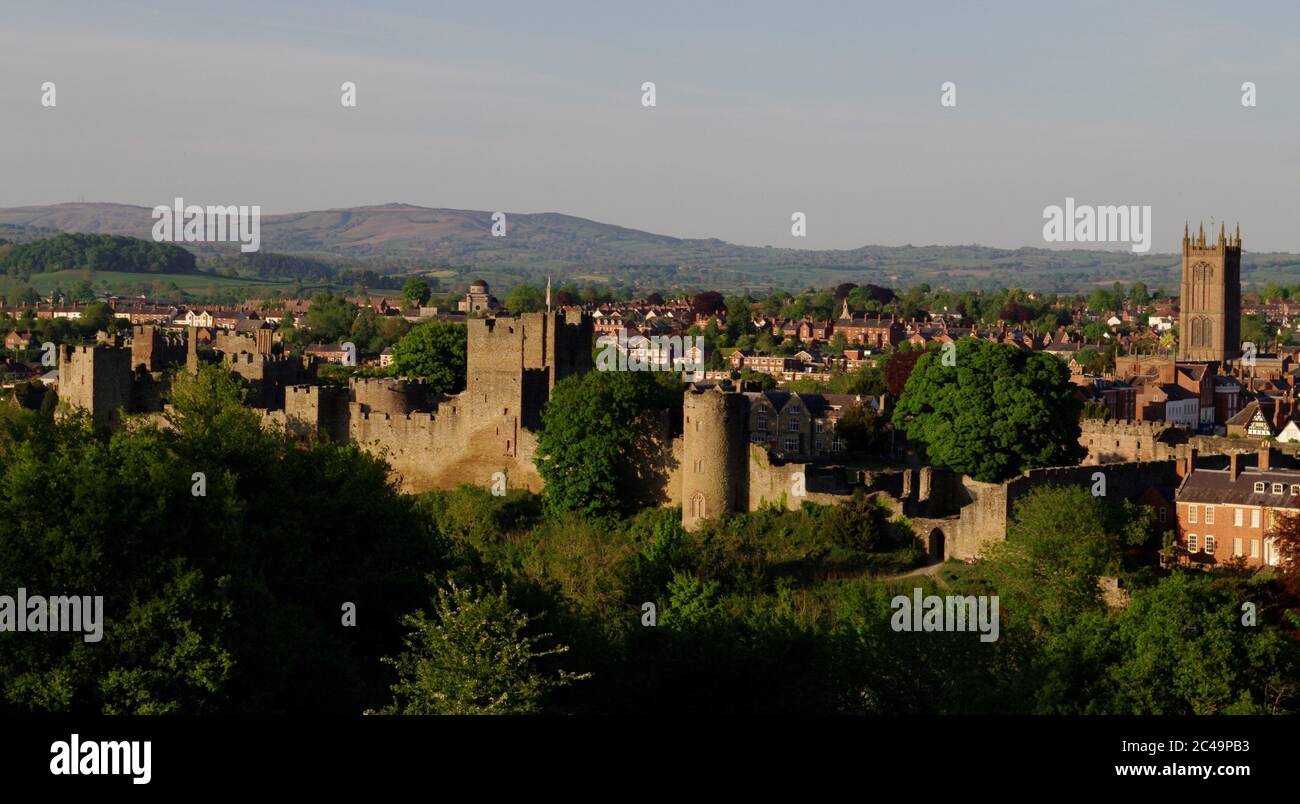 Whitcliffe Common Nature Reserve in Ludlow, Großbritannien Stockfoto