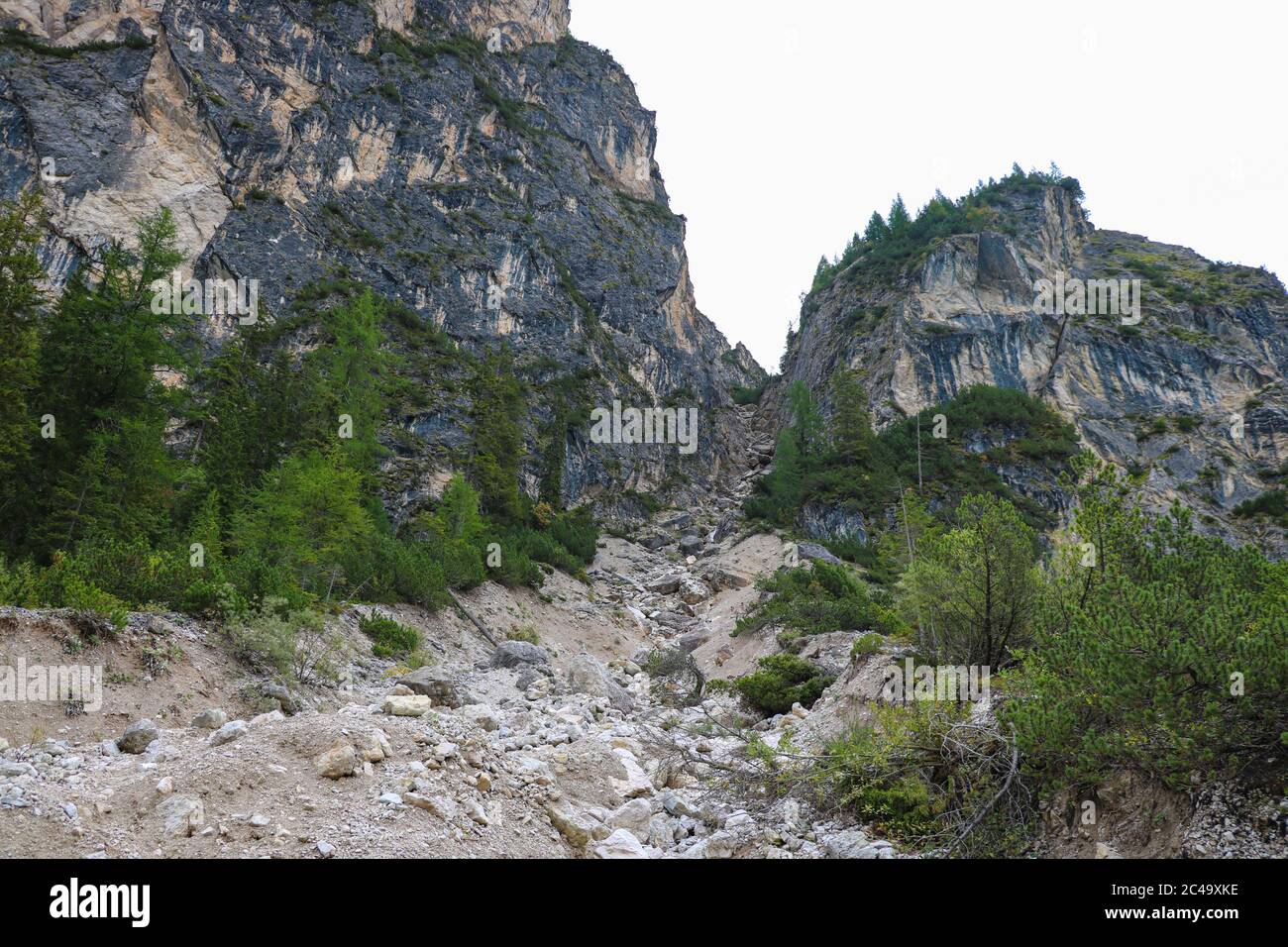 Hochgebirgshang in den Alpen, Italien. Saubere Frischluft Stockfoto