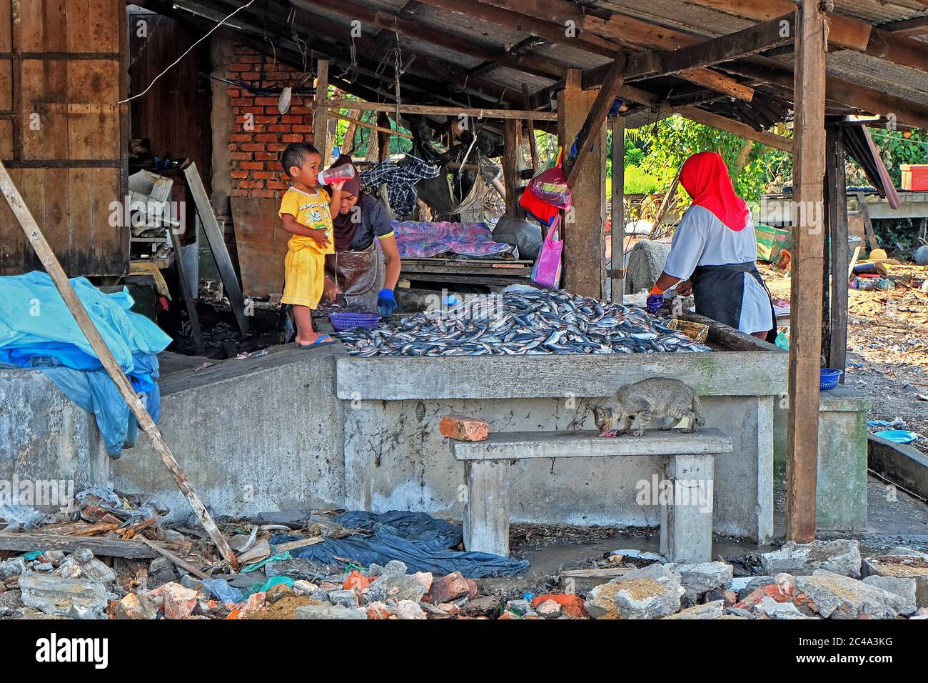 Seberang Takir, Terangganu - 4. April 2017: Ein paar Arbeiterinnen bereiten den frischen Fisch als Rohstoff für den Keropok-Lekor vor. Keropok lekor ist ein Stockfoto