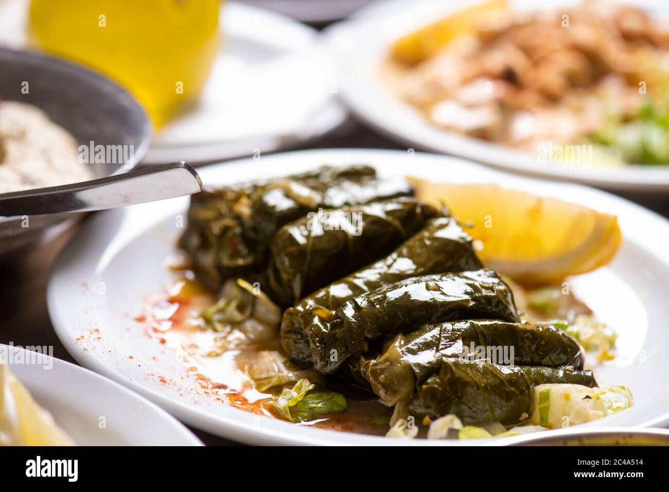 Gefüllte Weinblätter mit (libanesische Küche) Stockfoto