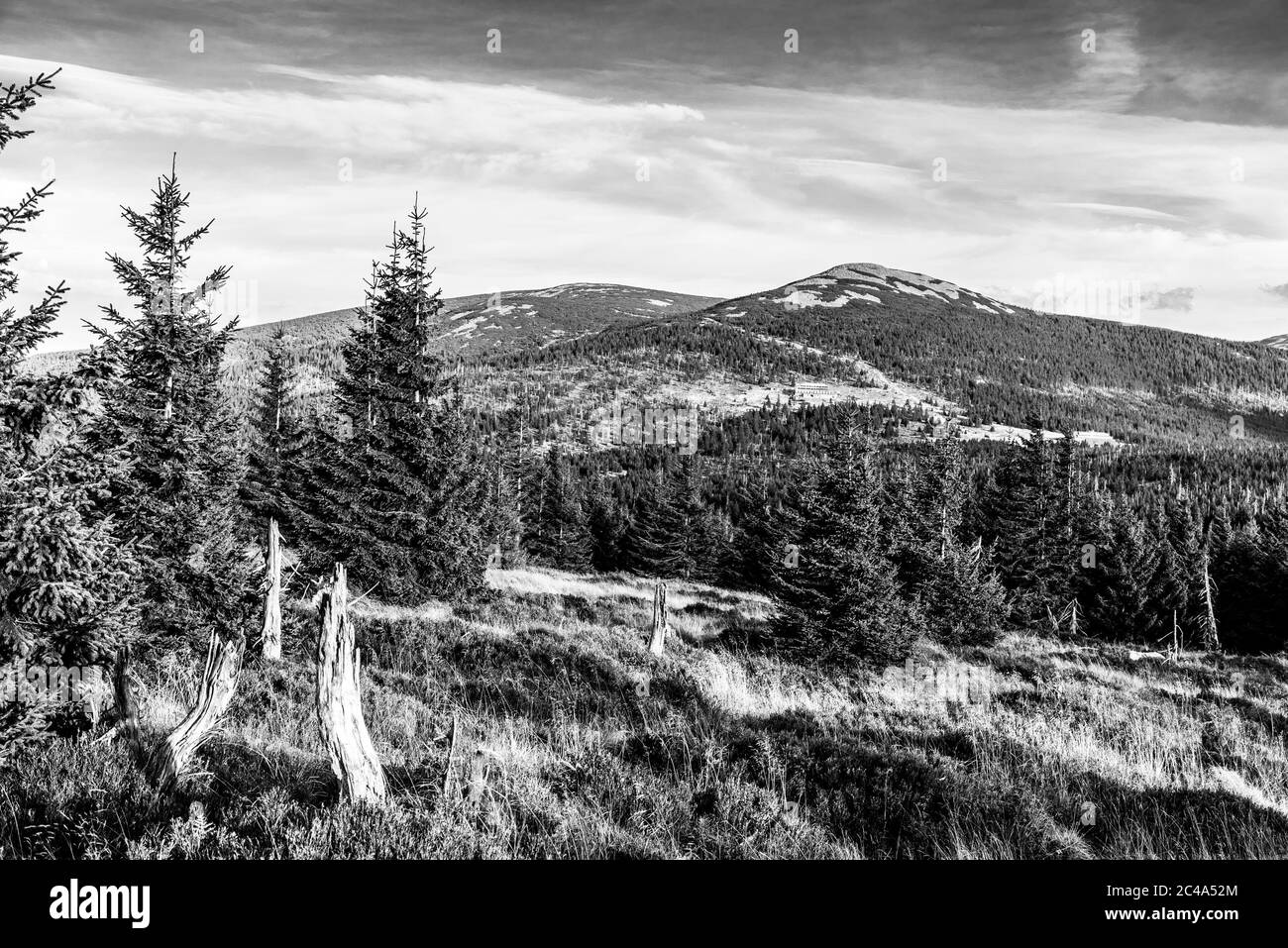 Grüne Waldlandschaft mit Maly Sisak Berg und Berghütten, Riesengebirge, Riesengebirge, Tschechische Republik. Schwarzweiß-Bild. Stockfoto