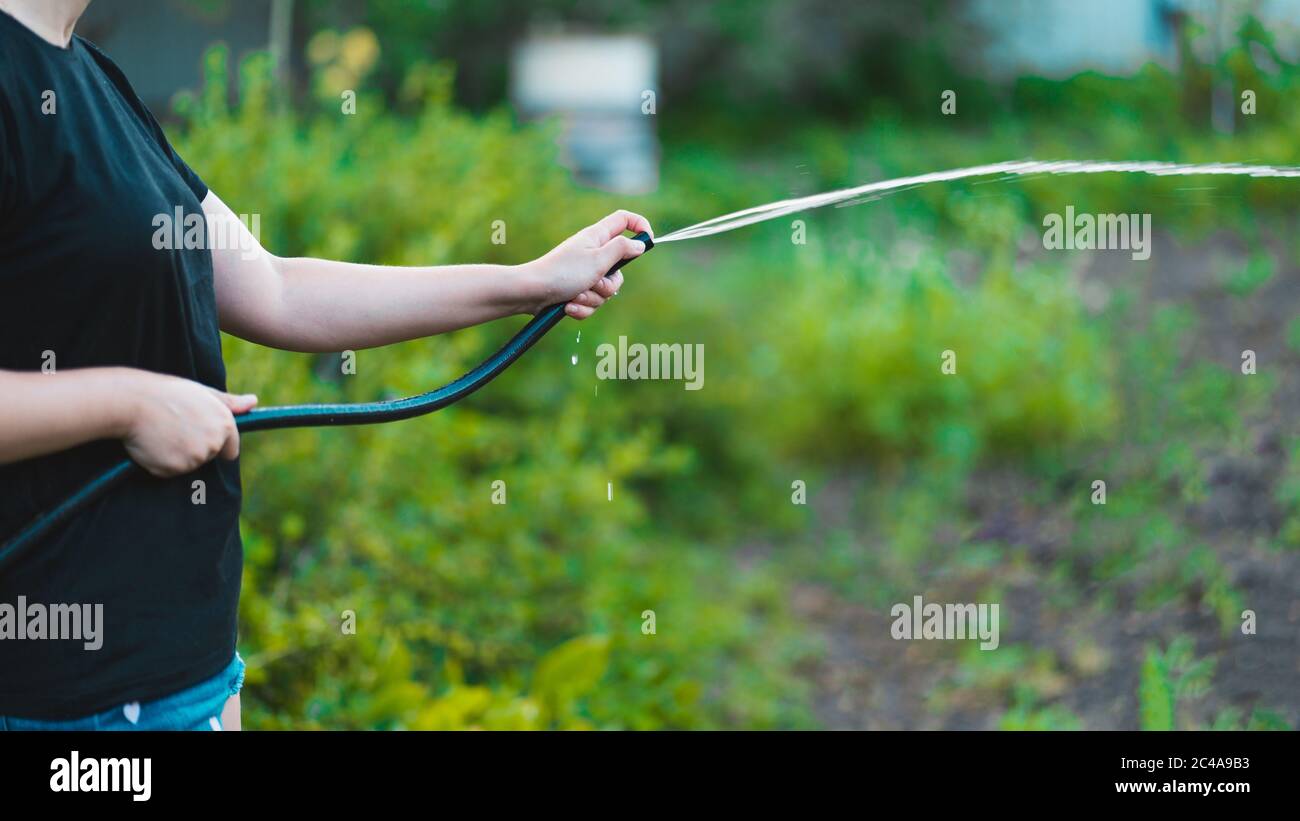 Nahaufnahme von Frau Hand wässern Gemüsegarten aus Schlauch. Konzept der Sommer- und Gartenpflege, Bio-Produkte und umweltfreundlicher Lebensstil. Stockfoto