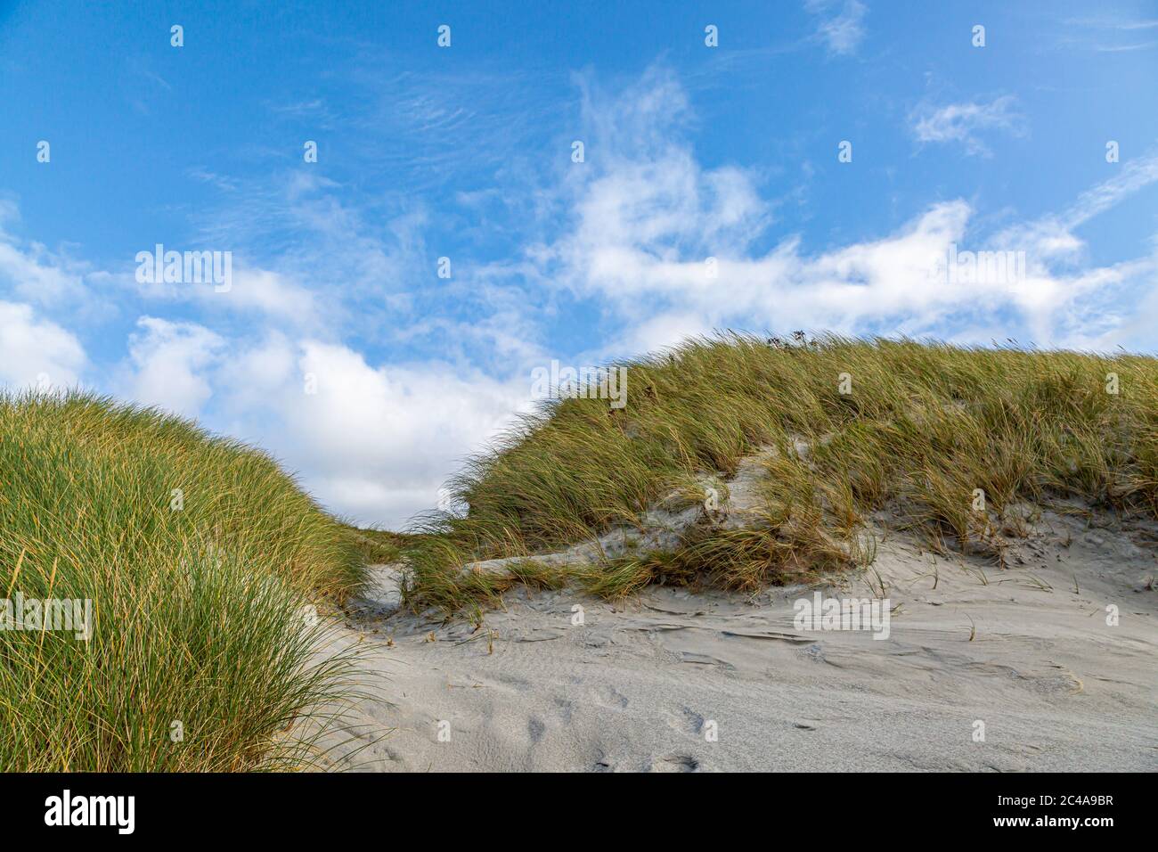 Marram Gras bedeckten Sanddünen auf der Hebriden Insel North Uist Stockfoto