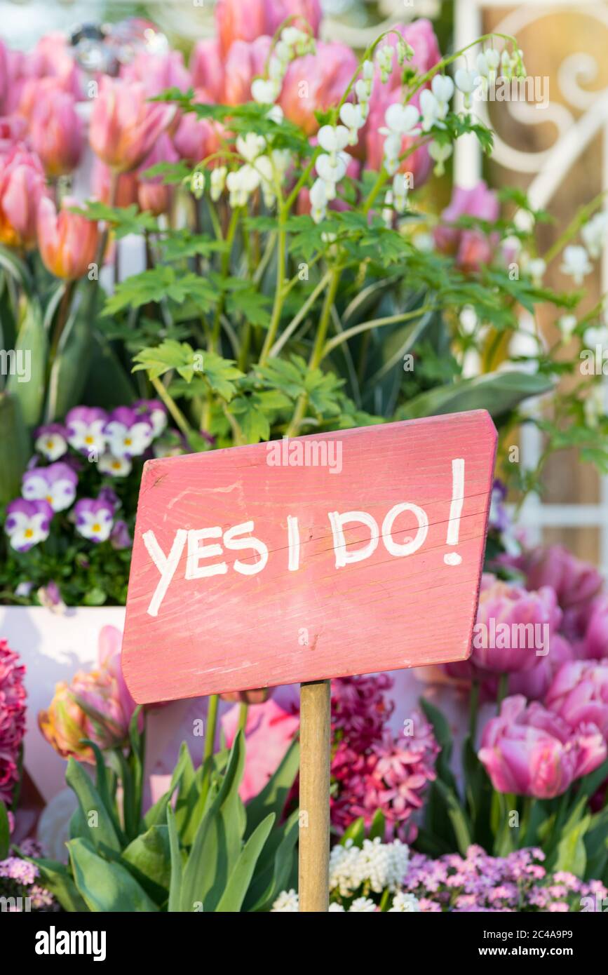 Rosa Schild mit der Aufschrift 'Ja, ich tue!' Mit Blumen im Hintergrund Stockfoto