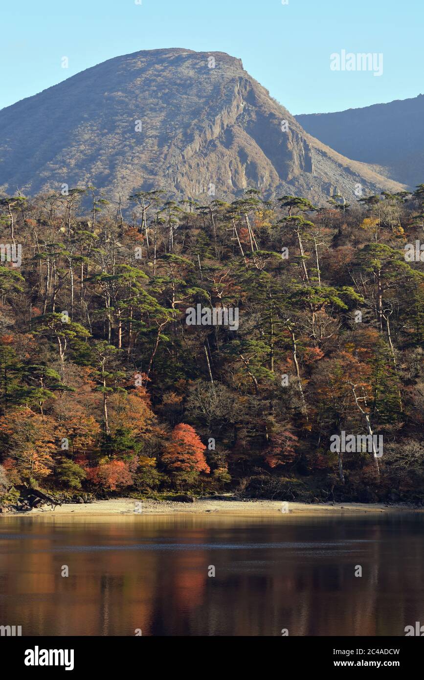 Ebino Plateau Kagoshima Japan Stockfoto