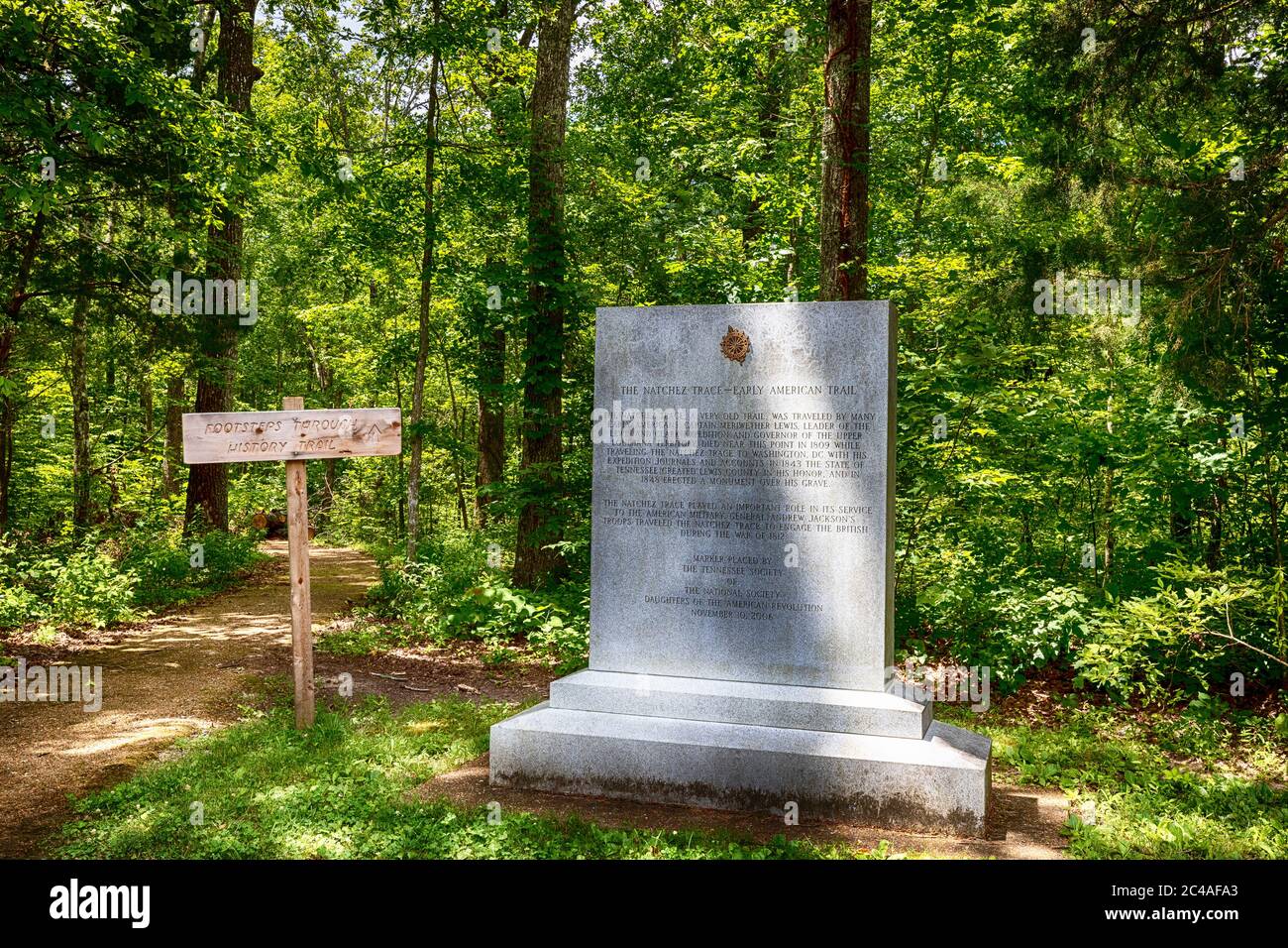 Natchez Trace Parkway, Tennessee, USA: Ein Abschnitt des Old Trace Trace Trace Trails in der Nähe des Todes von Merriwether Lewis. Stockfoto
