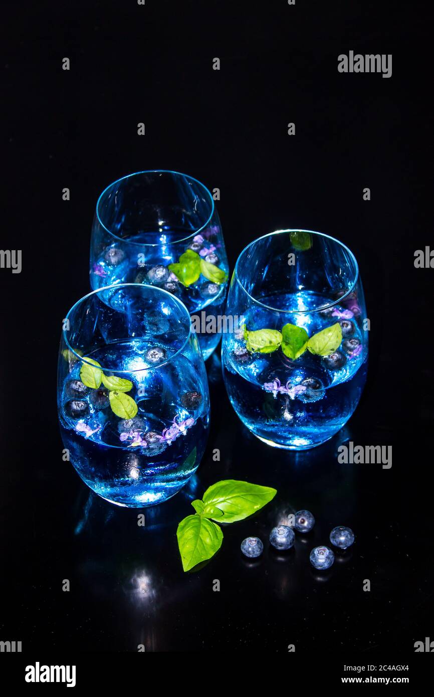 Drei Gläser hellblau, Gin und Tonic, mit Heidelbeer aromatisiertem Tonic, garniert mit frischen Heidelbeeren, Basilikumblättern und Rosmarinblüten Stockfoto