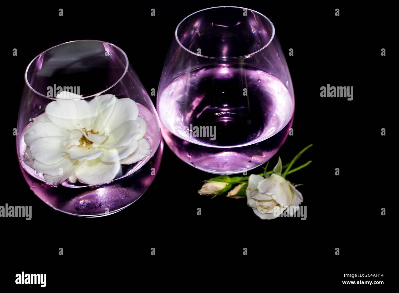 Zwei Gläser Rosengeschmack, Pink, Gin und Tonic, einer garniert mit einer ganzen Iceberg Rose Stockfoto