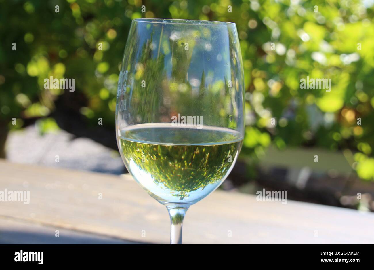 Ein Glas Weißwein auf einem Holztisch, serviert inmitten eines Weinbergs. Reben spiegeln sich im Glas. The Crags, Garden Route, Südafrika, Afrika. Stockfoto