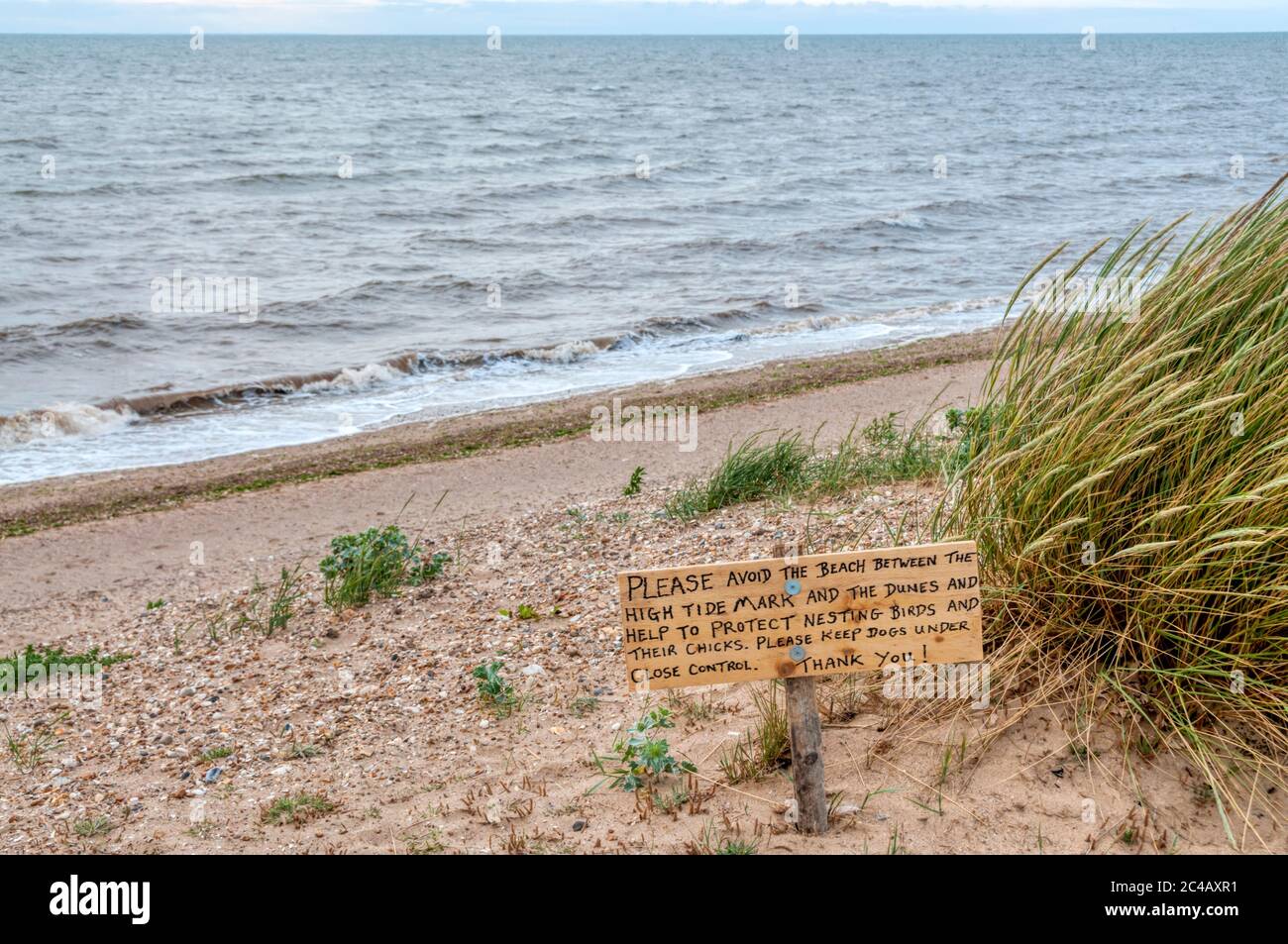 Schild am Snettisham Strand auf der Ostseite von Wash bittet die Menschen, den Strand zu vermeiden, um nistende Vögel zu schützen. WEITERE INFORMATIONEN FINDEN SIE IN DEN HINWEISEN. Stockfoto