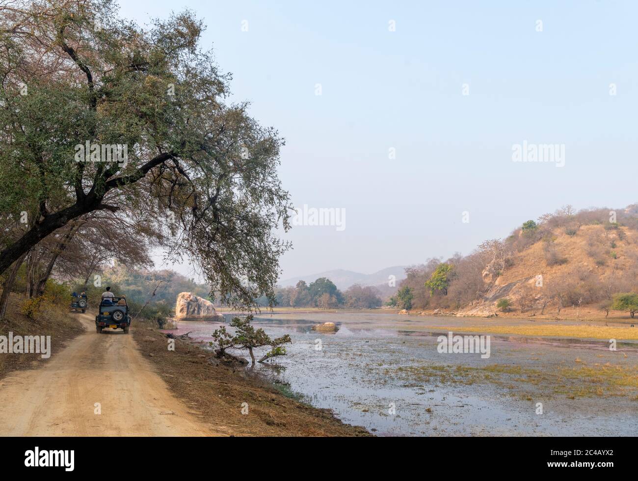 Touristen in Gipsy Safari Fahrzeuge auf einem Tiger Safari in Ranthambore National Park, Rajasthan, Indien Stockfoto