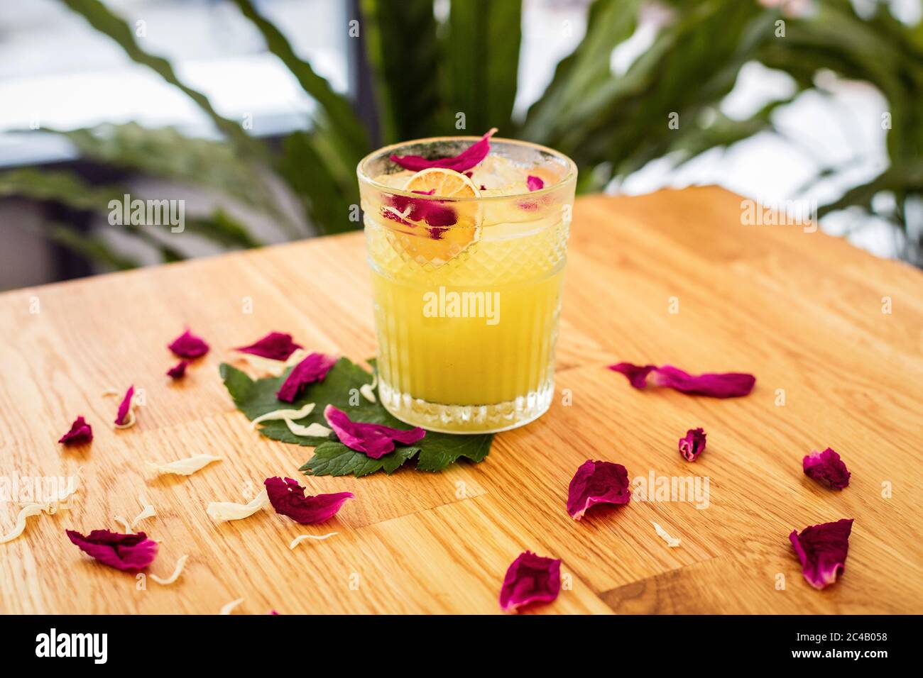 Ein erfrischender Zitruscocktail mit Eis in einem Steinglas, das mit einer trockenen Orangenscheibe und Rosenblättern verziert ist Stockfoto