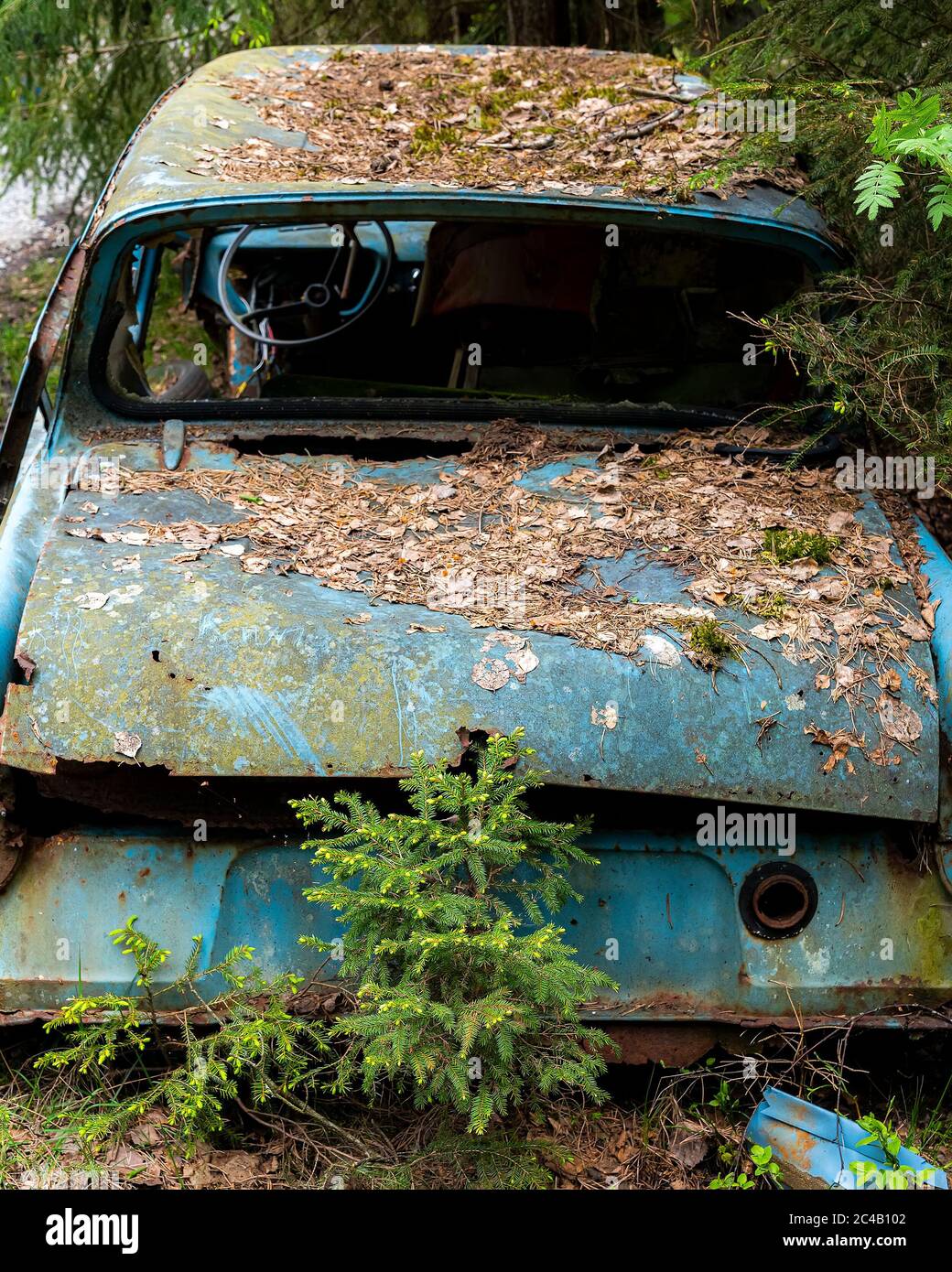 KIRKOE MOSSE, SCHWEDEN - 30. MAI 2020: Ein Autofriedhof in einem Wald bei Kirkoe Mosse, Schweden. Stockfoto