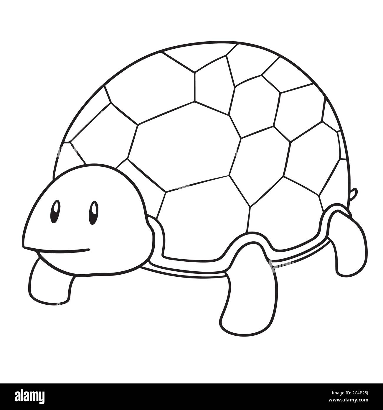 vektor der Schildkröte Stock Vektor