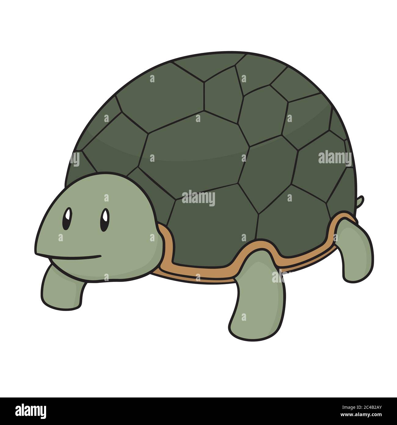 vektor der Schildkröte Stock Vektor