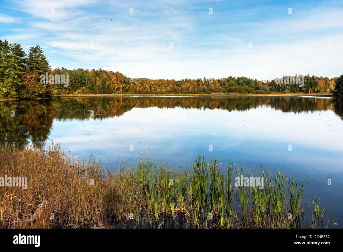 Ruhige Landschaft mit einem See umgeben von Wald an einem klaren Herbsttag. Schöne Herbstfarben und Reflexion im Wasser. Stockfoto