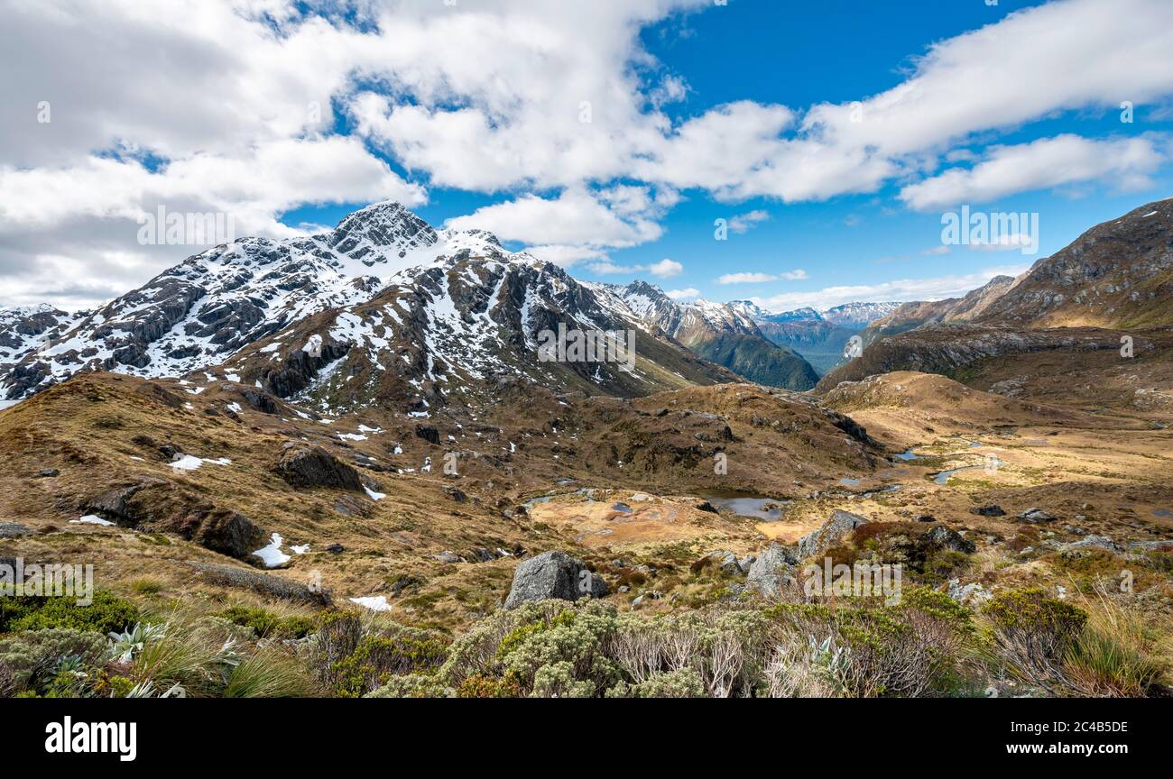 Blick in die Route Burn Valley mit Bach und Mount Xenicus, Routeburn Track, Mount Aspiring National Park, Westland District, Westküste, Süden Stockfoto