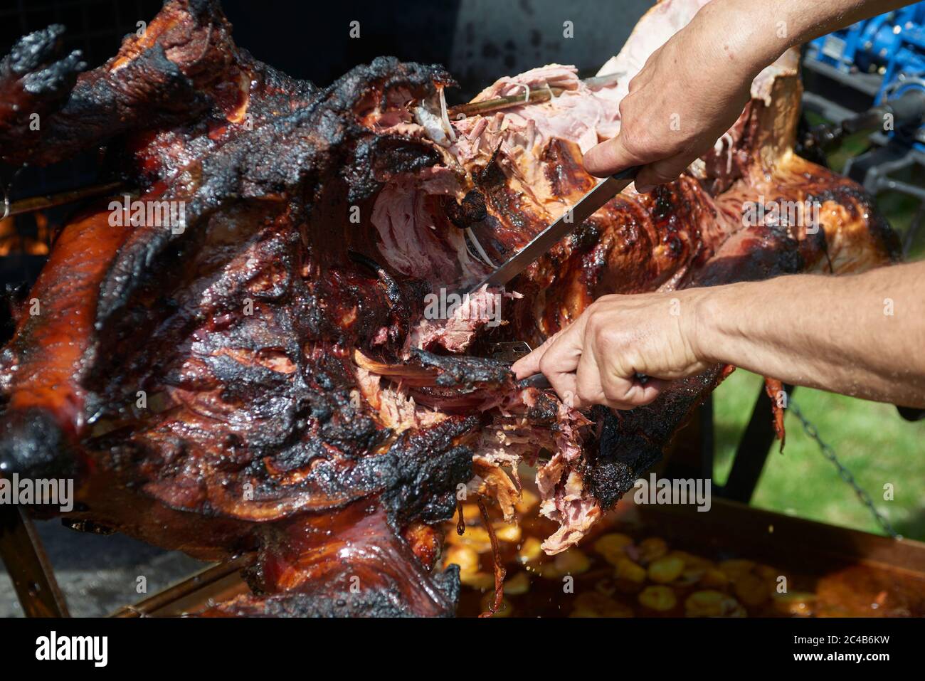 Chef Hände Schneiden ganze gegrillte Schweinefleisch für Steaks mit Messer. Vom Schwein gegrillte traditionelle Kohle und Feuer. Das kleine Schwein wird ganz auf einem offenen Feuer geröstet. Stockfoto