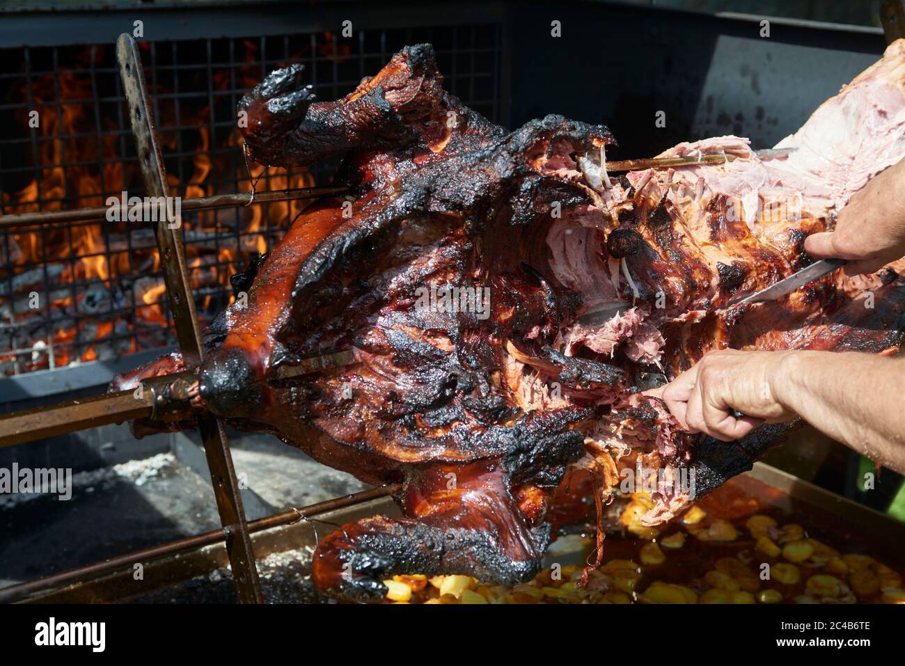 Chef Hände Schneiden ganze gegrillte Schweinefleisch für Steaks mit Messer. Vom Schwein gegrillte traditionelle Kohle und Feuer. Das kleine Schwein wird ganz auf einem offenen Feuer geröstet. Stockfoto