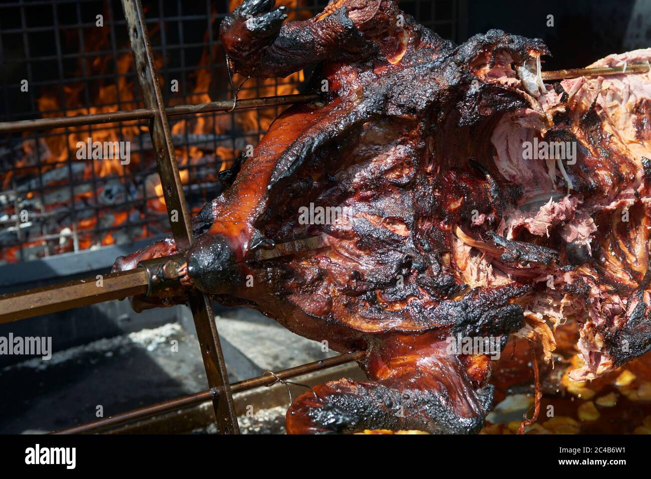 Chef Hände Schneiden ganze gegrillte Schweinefleisch für Steaks mit Messer. Vom Schwein gegrillte traditionelle Kohle und Feuer. Das kleine Schwein wird ganz auf einem offenen Feuer geröstet. Stockfoto