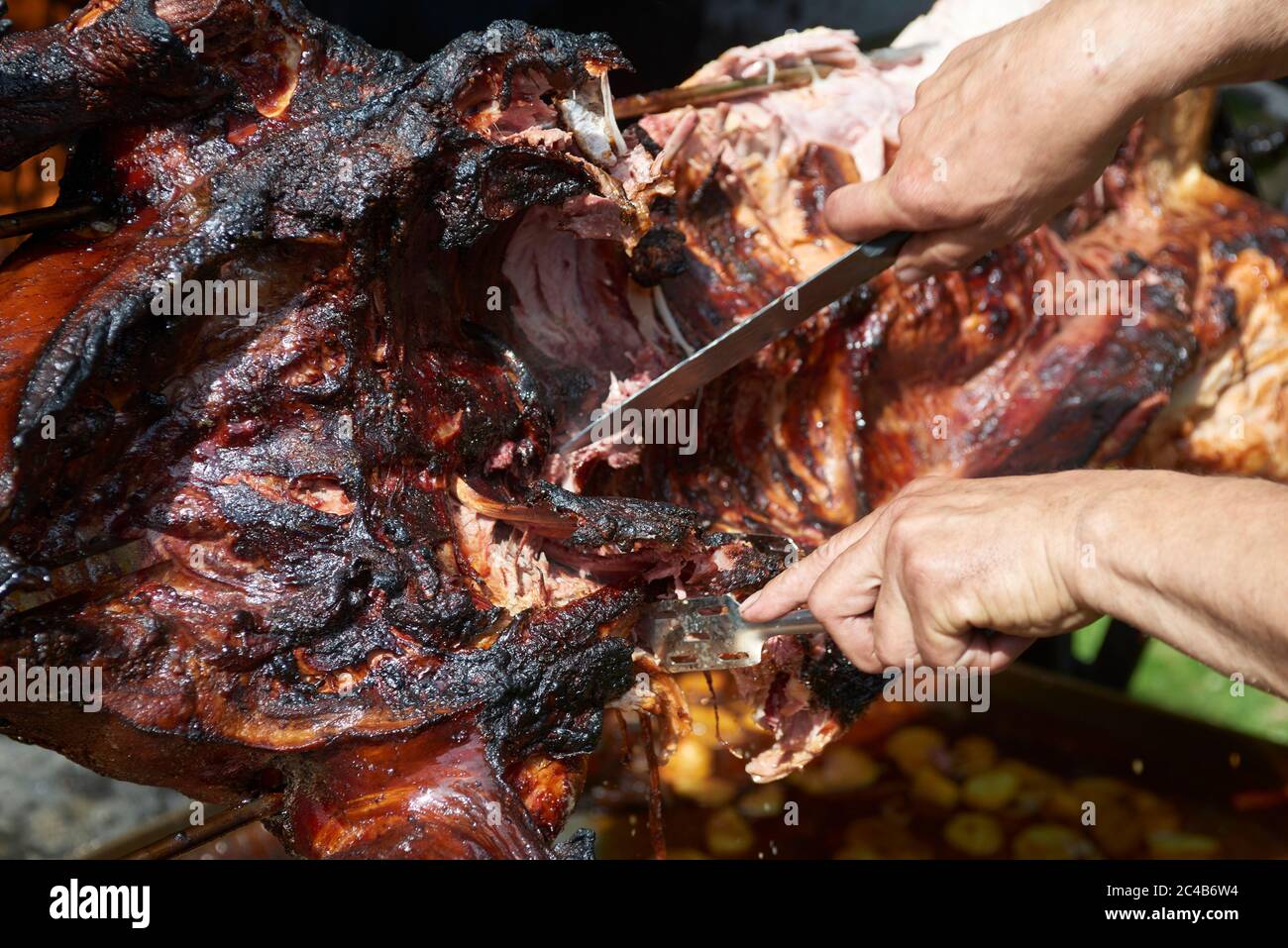 Chef Hände Schneiden ganze gegrillte Schweinefleisch für Steaks mit Messer. Vom Schwein gegrillte traditionelle Kohle und Feuer. Das kleine Schwein wird ganz auf einem offenen Feuer geröstet. Stockfoto