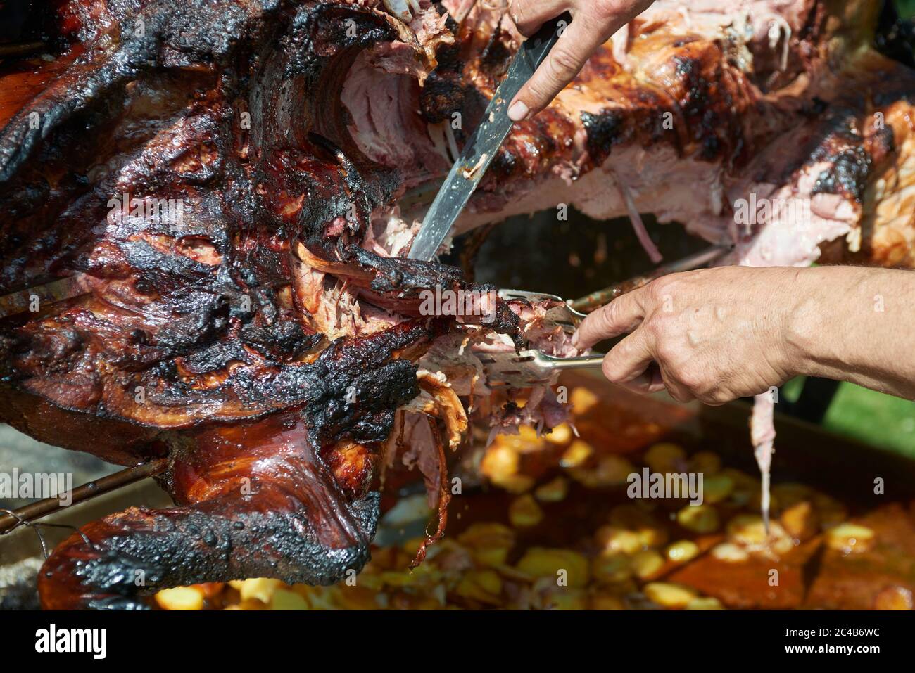 Chef Hände Schneiden ganze gegrillte Schweinefleisch für Steaks mit Messer. Vom Schwein gegrillte traditionelle Kohle und Feuer. Das kleine Schwein wird ganz auf einem offenen Feuer geröstet. Stockfoto
