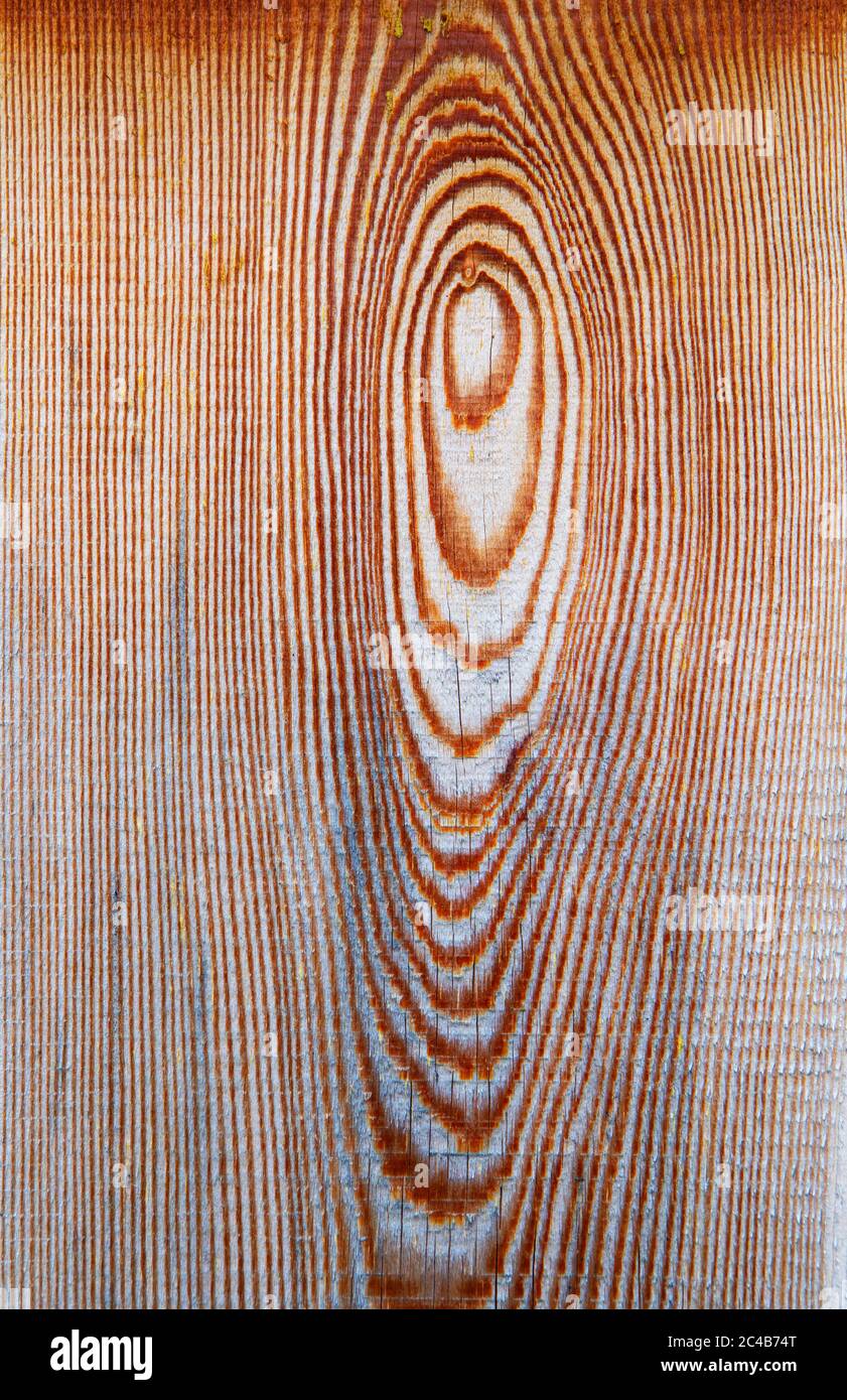 Die Holzstruktur des hölzernen Brettes, die Oberfläche des Schnittes Stockfoto