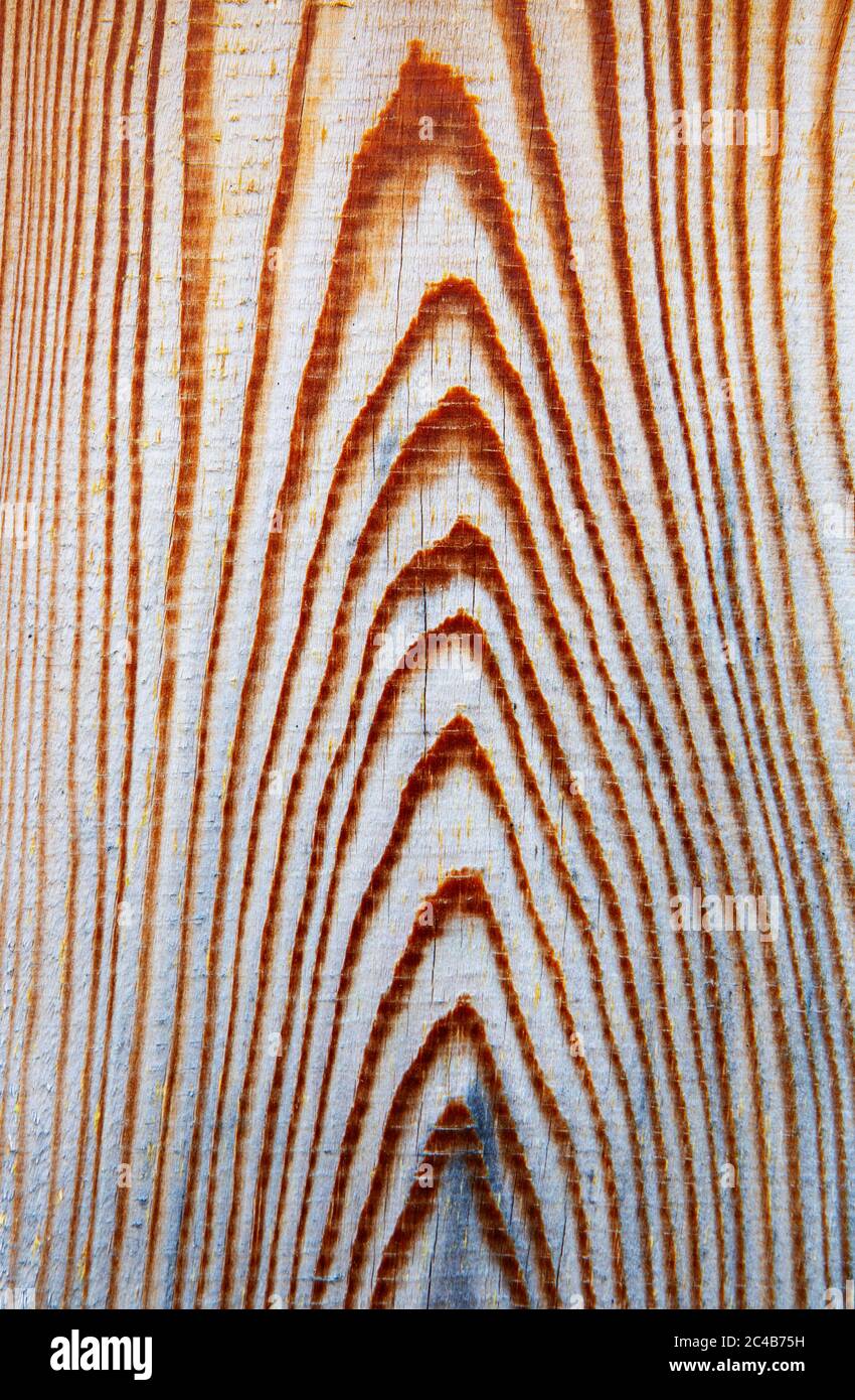 Die Holzstruktur des hölzernen Brettes, die Oberfläche des Schnittes Stockfoto