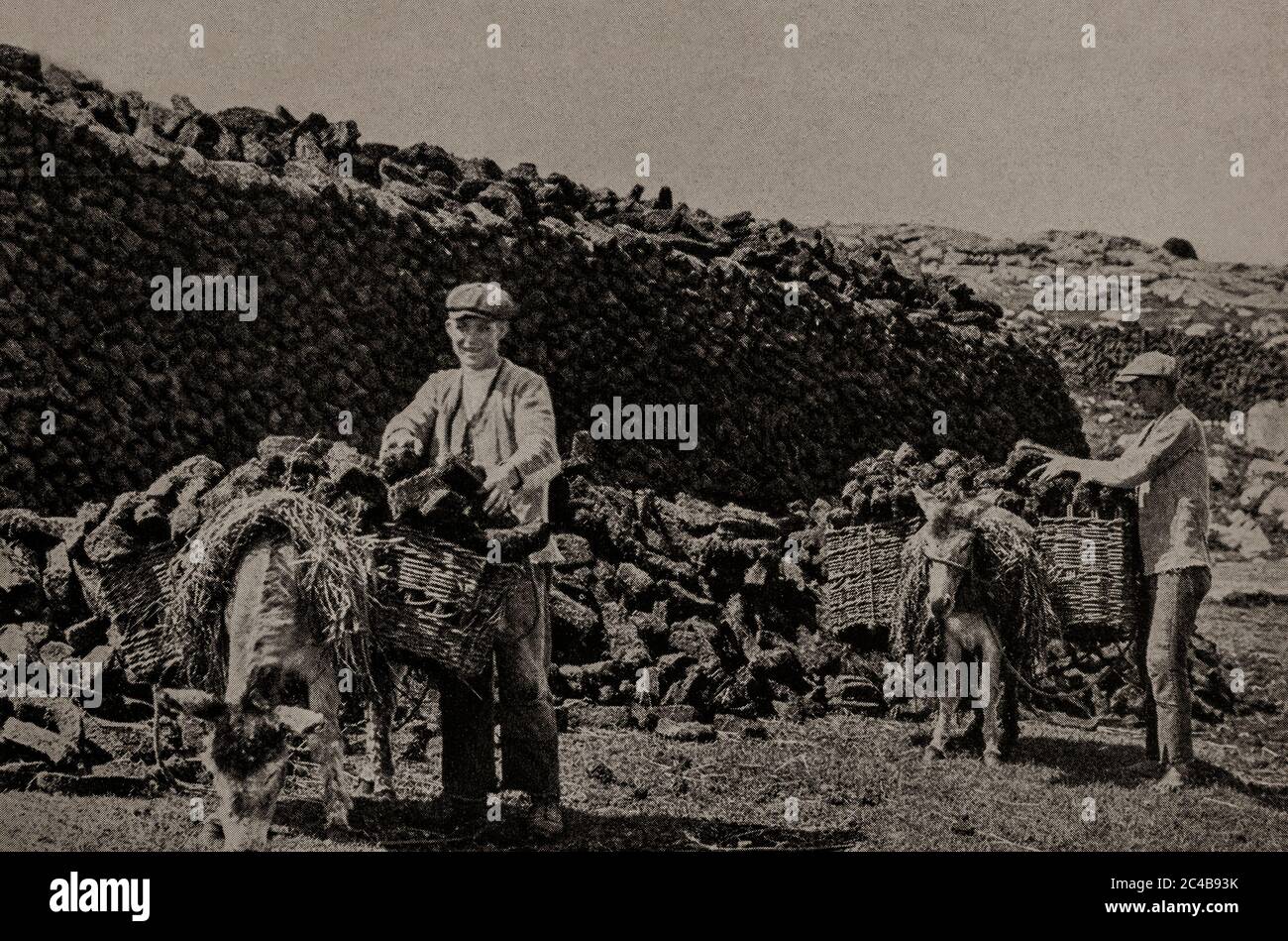 Eine Ansicht der frühen 1920er Jahre der lokalen Bevölkerung und ihrer Esel sammeln Rasen (oder Torf) im Sommer für Winterbrände. Ursprünglich fotografiert von A. W. Cutler (1875-1935) für 'Ireland: The Rock Whence I was Hewn', eine National Geographic Magazine-Spielfilm vom März 1927. Stockfoto