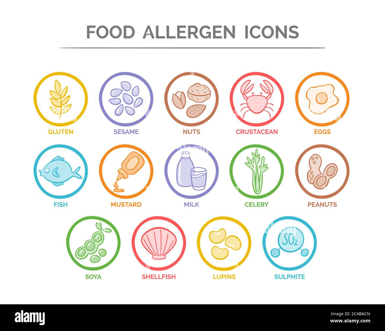 Bunte Lebensmittelsicherheitsallergien-Symbole gesetzt. 14 Lebensmittelzutaten, die in der EU als Allergene deklariert werden müssen. Vektor EPS 10. Nützlich für Restaurants und mich Stock Vektor