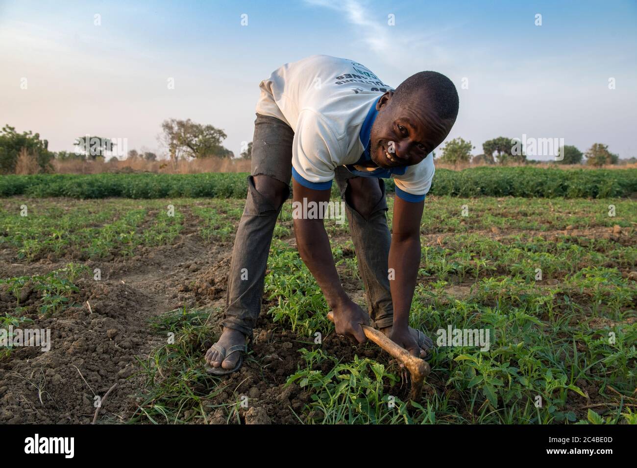 Mikrofinanzkundenmarkt Landwirtschaft in der Provinz Savanes, Nord-togo Stockfoto