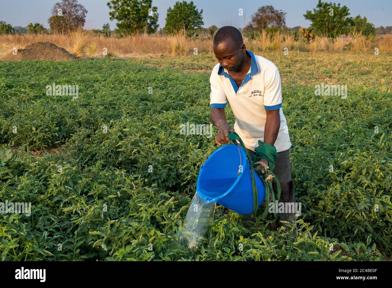 Mikrofinanzkundenmarkt Landwirtschaft in der Provinz Savanes, Nord-togo Stockfoto