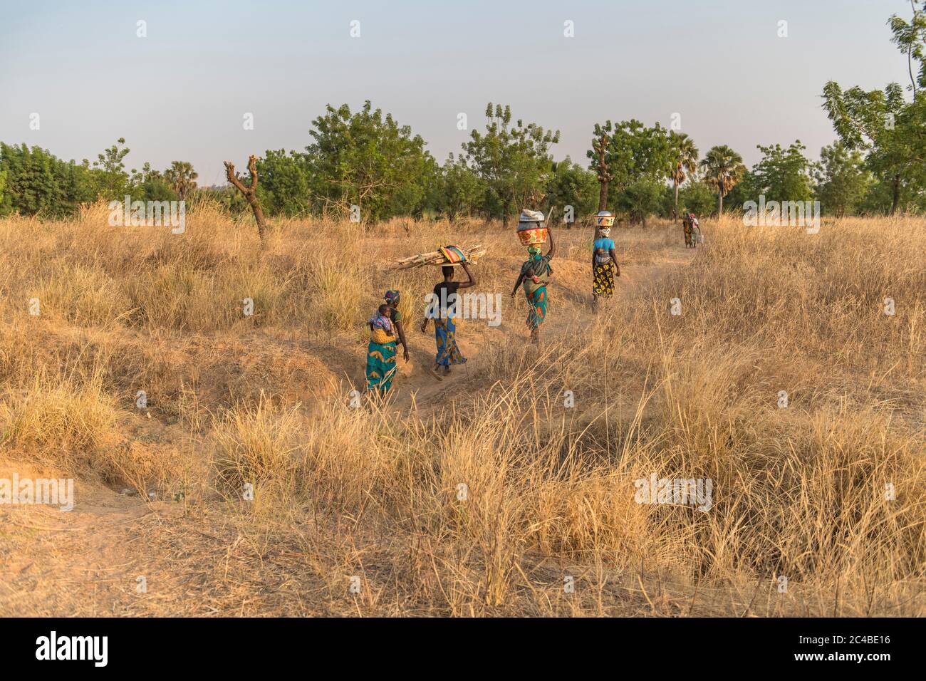 Togolesische Frauen, die in der Provinz Savanes, togo, unterwegs sind Stockfoto