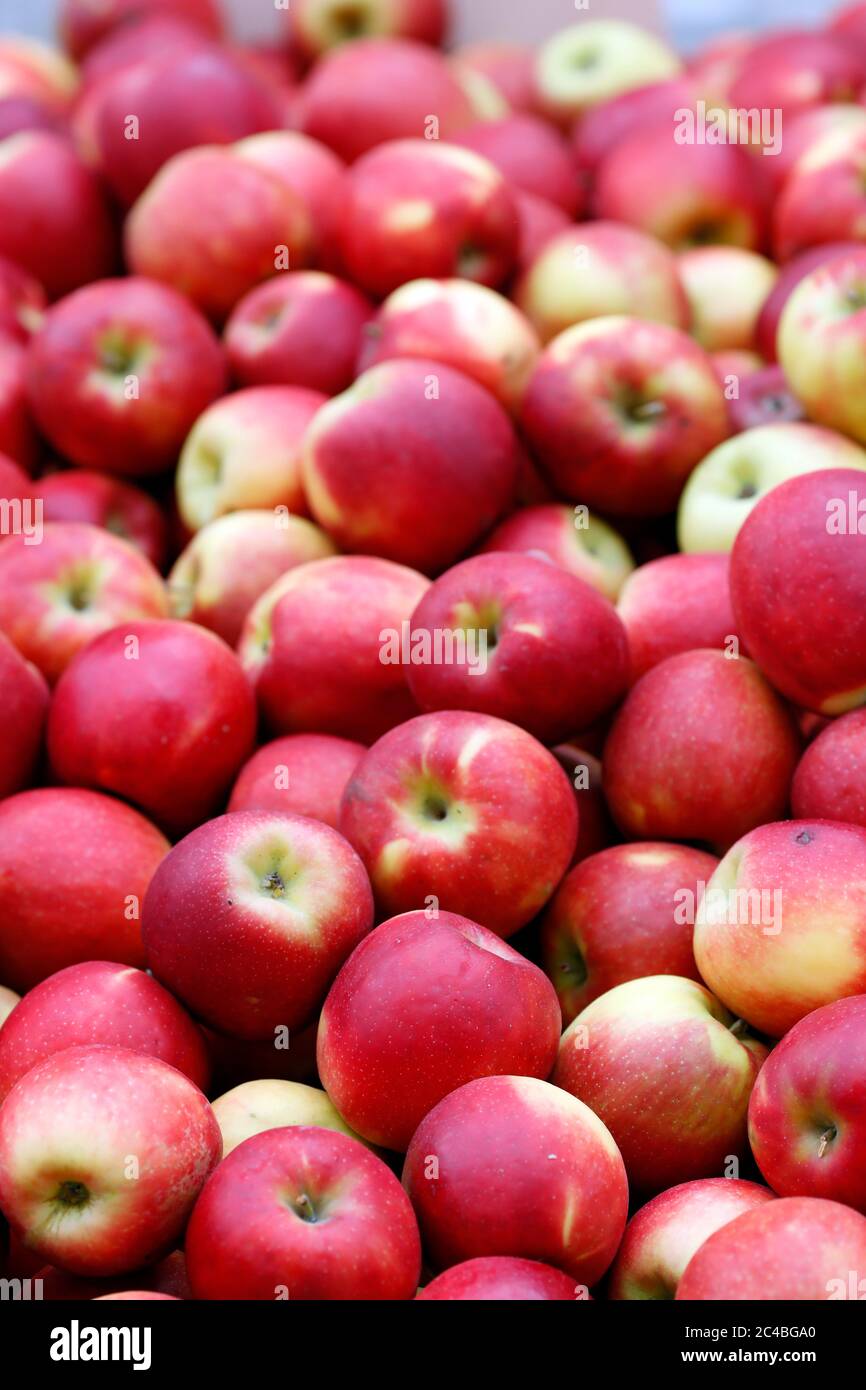 Bio-Äpfel zum Verkauf auf dem Markt Stockfoto