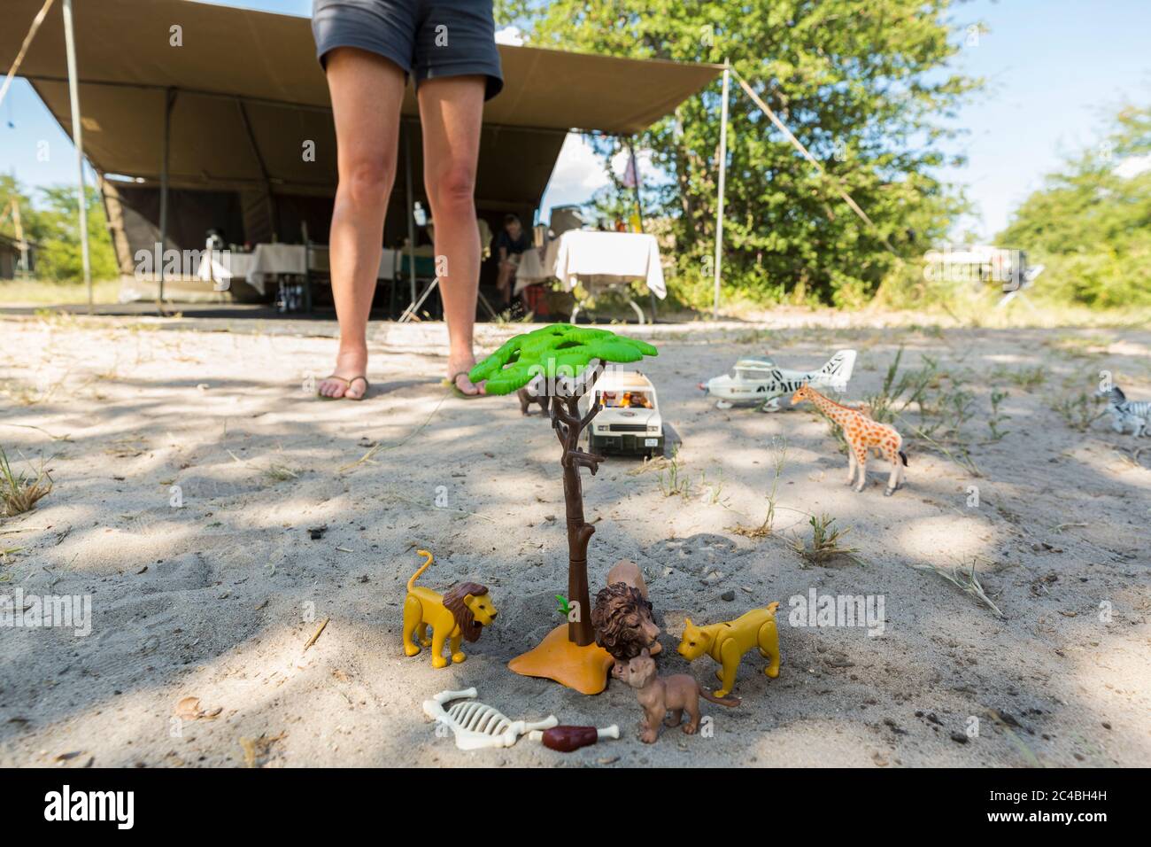 Eine Safari-Szene auf dem Sand, Spielzeugjeeps und Safaritiere auf dem Boden und die Beine eines Zuschauers. Stockfoto