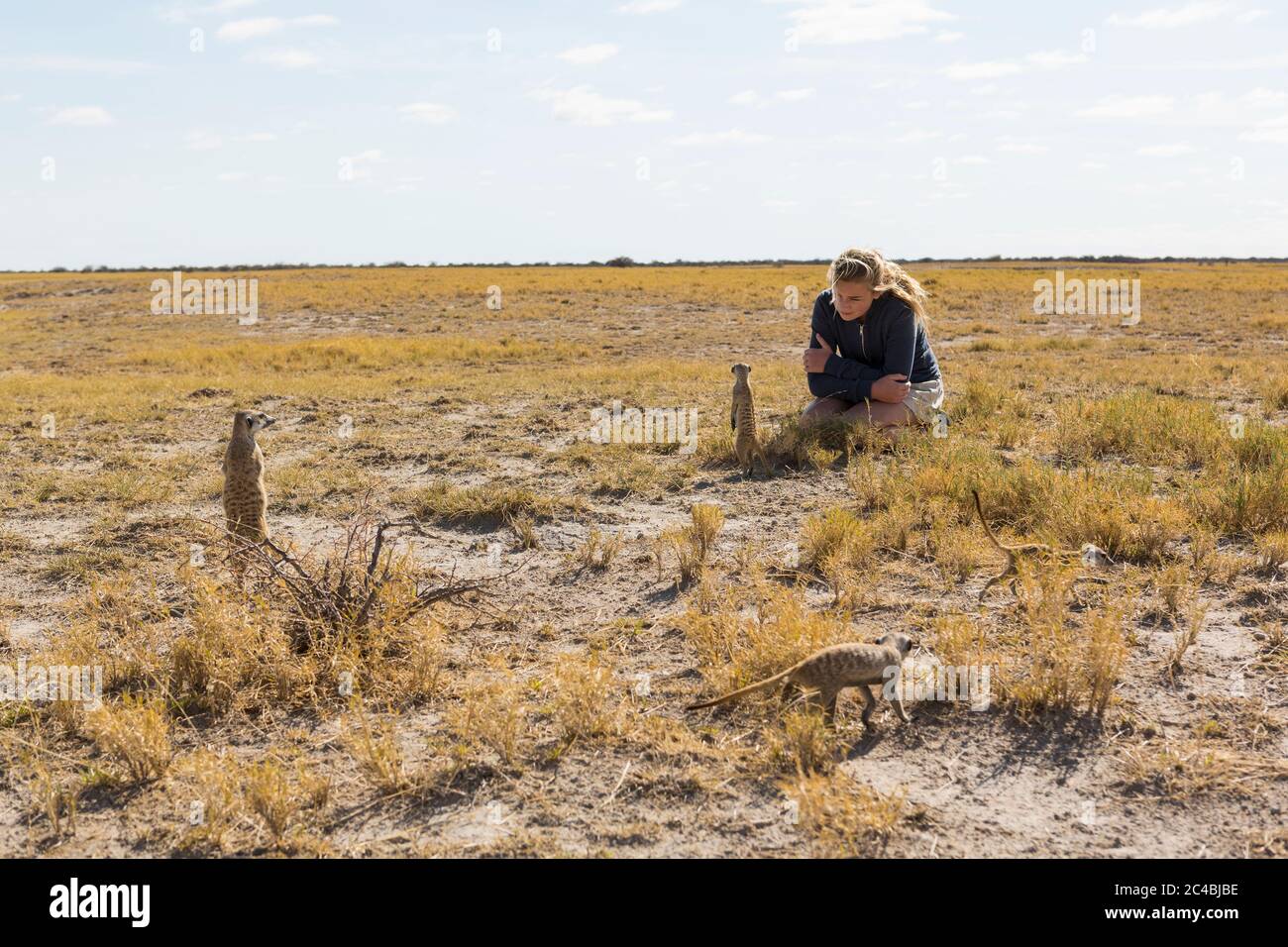 12-jähriges Mädchen, das sich Meerkats in der Kalahari-Wüste ansieht Stockfoto