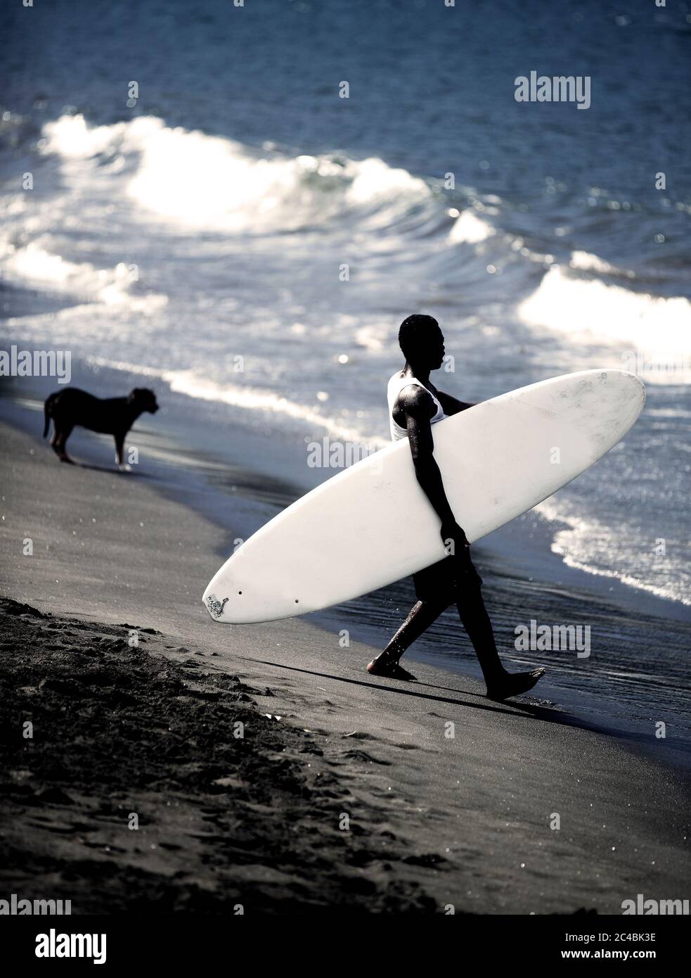 Seitenansicht des Menschen am Sandstrand, der Surfbrett in die Wellen des Ozeans trägt, Hund im Hintergrund. Stockfoto