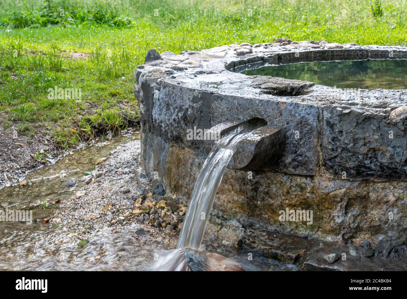 Echte Quelle von sauberem Wasser mit Steinen in der Natur frei zum Trinken Stockfoto