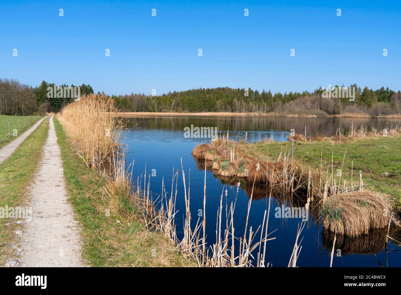 Nussberger weiher Fotos und Bildmaterial in hoher Auflösung Alamy