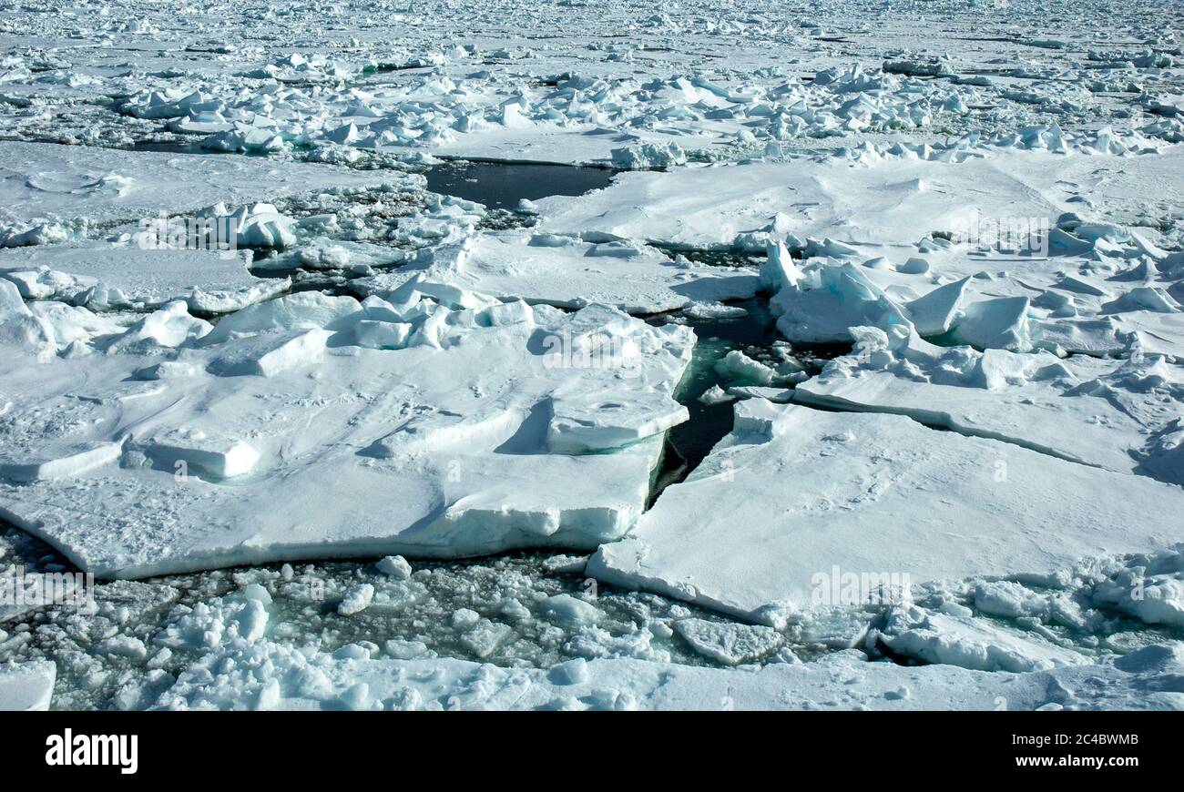 packen Sie Eis vor der Küste von Svalbard, Norwegen, Svalbard Stockfoto