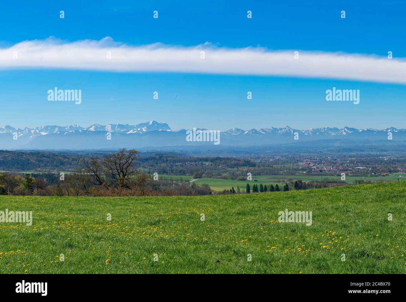 Blick über die Frühlingswiese auf die Alpen mit Zugspitze, Deutschland, Bayern, Oberbayern Alpenvorland, Paehl bei Weilheim Stockfoto